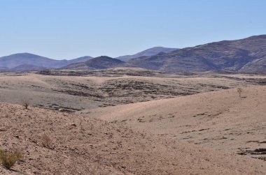 Namibya Afrika 'da Stone Desert Panorama Arkaplanı. Yüksek kalite fotoğraf