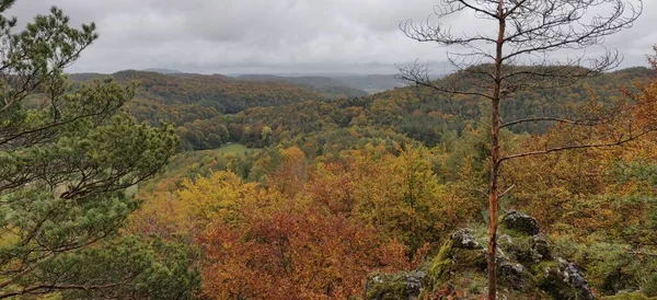 Bosque Otoño Panorama Cima Colina Alemania Fondo Foto Alta Calidad —  Fotos de Stock