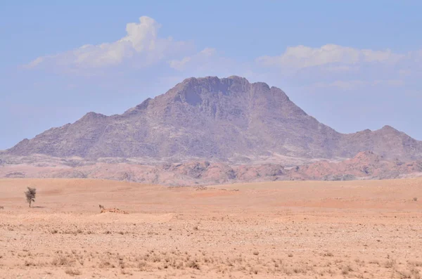 纳米比亚沙漠全景 高质量的照片 — 图库照片