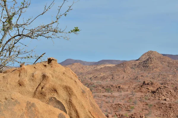 Terminte Hill Namibie Afrique Structure Renseignements Généraux Photo Haute Qualité — Photo