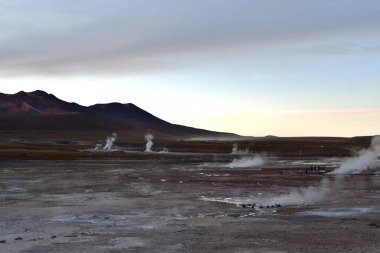 El Tatio Gayzer Atacama Çölü Güney Amerika. Yüksek kalite fotoğraf