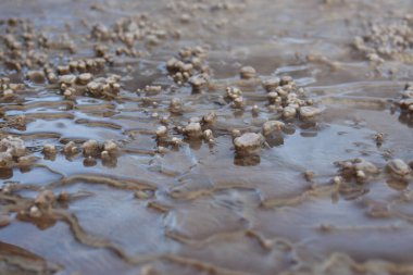 El Tatio Gayzer Atacama Çölü Güney Amerika. Yüksek kalite fotoğraf
