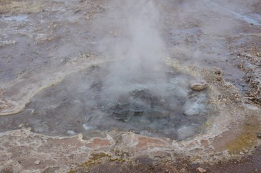 El Tatio Gayzer Atacama Çölü Güney Amerika. Yüksek kalite fotoğraf