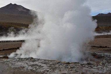 El Tatio Gayzer Atacama Çölü Güney Amerika. Yüksek kalite fotoğraf