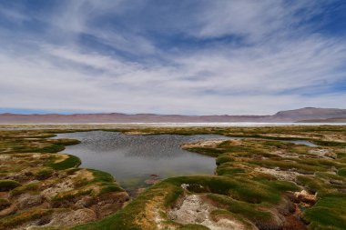 Salar de Pujsa atacama desert chile green water blue sky. High quality photo