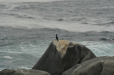 Coastline of Chile Rough sea stormy Hurrikane Taifun zyklon. High quality photo
