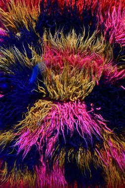 National Museum of History Santiago de Chile South America. High quality photo