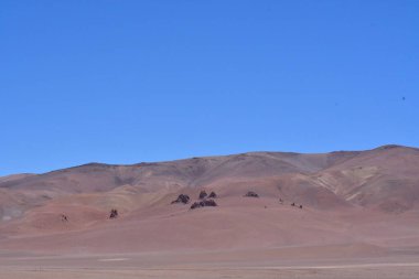 Mount Pili Acamarachi Volcano Chile South America. High quality photo