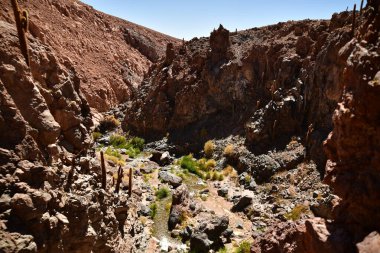  Guatin Canyon Altiplano San Pedro de Atacama Chile. High quality photo