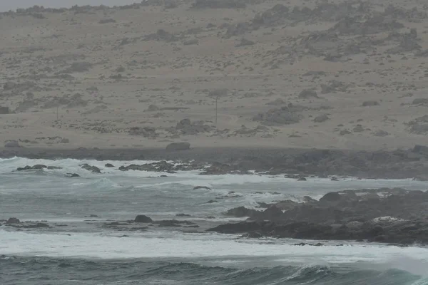Stormy Coast hurricane with wind and Waves. High quality photo