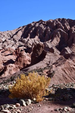 Atacama Desert panorama views Chile south america. High quality photo