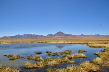 Atacama desert laguna salar panorama Andes chile south america . High quality photo