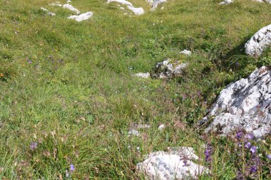 dolomites panoramic views climbing outdoor europe. High quality photo