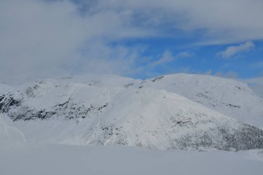 Kış dağ manzarası ağaçları Norveç 'in İskandinavya karları. Yüksek kalite fotoğraf