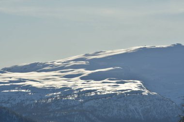 Kış dağ manzarası ağaçları Norveç 'in İskandinavya karları. Yüksek kalite fotoğraf