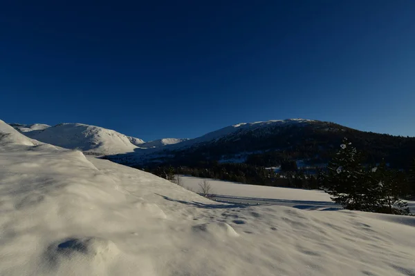 Inverno Montanha Paisagem Árvores Neve Norway Sscandinavia Foto Alta Qualidade — Fotografia de Stock
