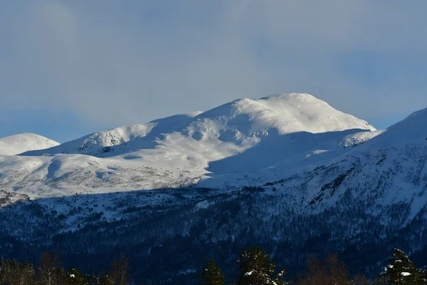 Χειμερινό Ορεινό Τοπίο Δέντρα Χιόνι Σκανδιναβία Norway Υψηλής Ποιότητας Φωτογραφία — Φωτογραφία Αρχείου