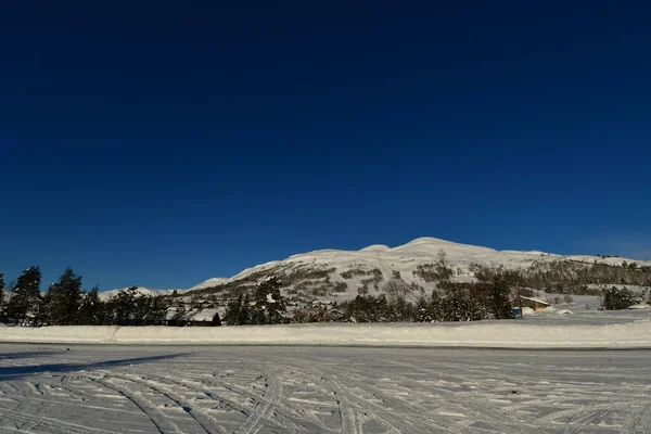 Inverno Alberi Paesaggio Montano Neve Norway Scandinavia Foto Alta Qualità — Foto Stock