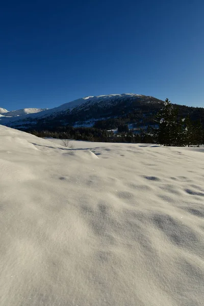 Zimowy Krajobraz Górski Drzewa Śnieg Norweski Skandynawia Wysokiej Jakości Zdjęcie — Zdjęcie stockowe