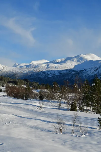 Zima Wieś Cud Ziemi Słoneczny Hornindal Norweski Skandynawski Wysokiej Jakości — Zdjęcie stockowe