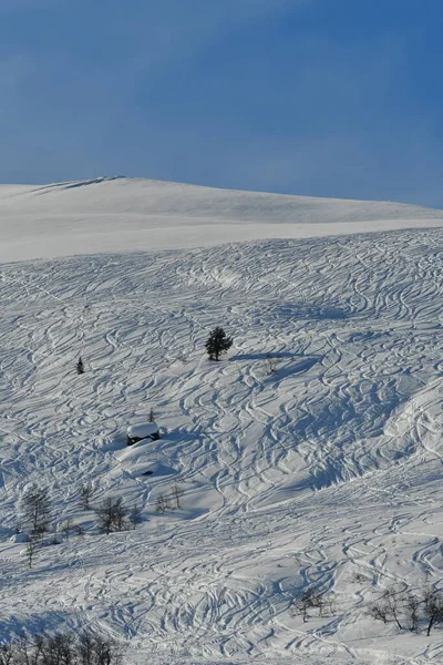 Ski Slope Norway Skiing Hiking Winter Sport High Quality Photo — Stock Photo, Image