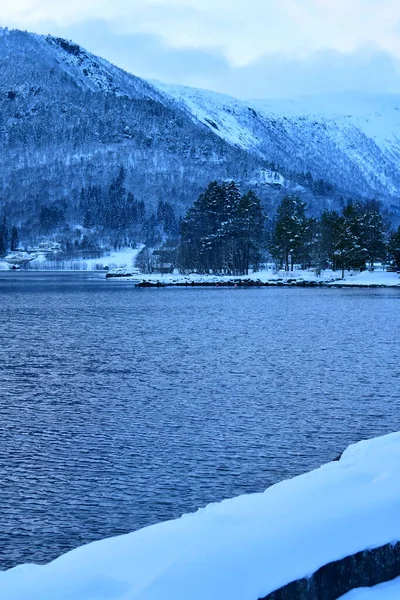 Invierno Vistas Fiordo Nublado Día Frío Norway Foto Alta Calidad —  Fotos de Stock