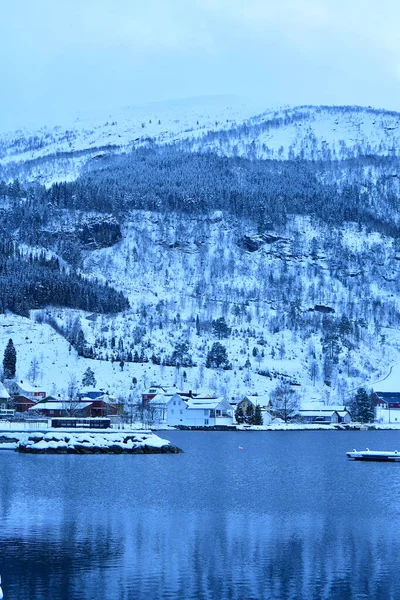 Зимний Фьорд Затуманен Холодным Днем Норвея Высокое Качество Фото — стоковое фото