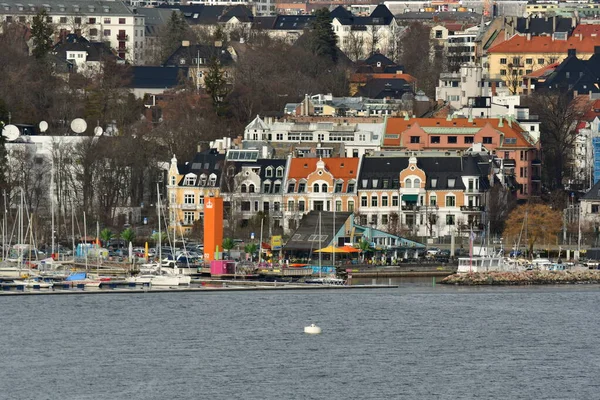 Oslo Strony Wody Zimą Szczegóły Zimie Skandynawskiej Norwegii Wysokiej Jakości — Zdjęcie stockowe