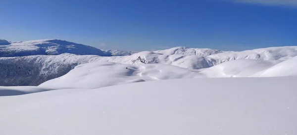 雪山背景阳光明媚的天气景观冬季 高质量的照片 — 图库照片