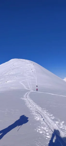 Bedava Turda Yamaçlarda Kayak Yapmak Yüksek Kalite Fotoğraf — Stok fotoğraf
