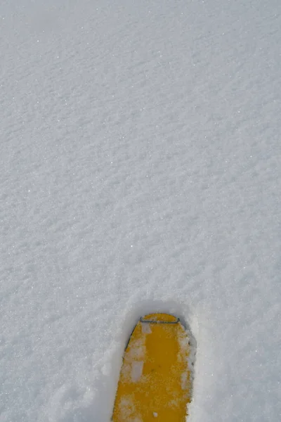 黄色的滑雪板尖在新鲜的粉末雪的背景 高质量的照片 — 图库照片