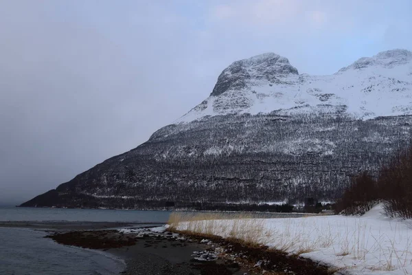 Fjord Norwegen Winter Trübt Kalte Dunkelheit Hochwertiges Foto — Stockfoto