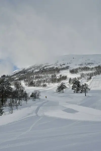 Pista Esquí Día Soleado Norway Foto Alta Calidad —  Fotos de Stock