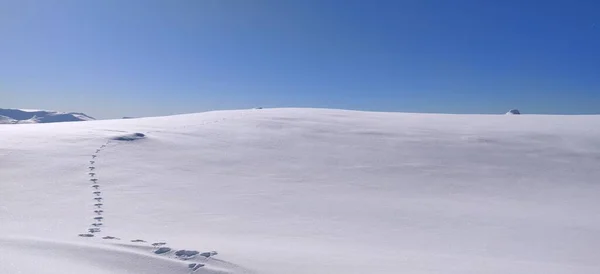 Sněhová Zimní Krajina Modrou Oblohou Norway Kvalitní Fotografie — Stock fotografie