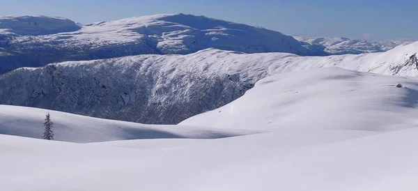Sneeuw Winterlandschap Met Blauwe Lucht Noordwaarts Hoge Kwaliteit Foto — Stockfoto