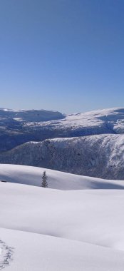 Norveç 'in mavi gökyüzünü gezen kayak turu. Yüksek kalite fotoğraf