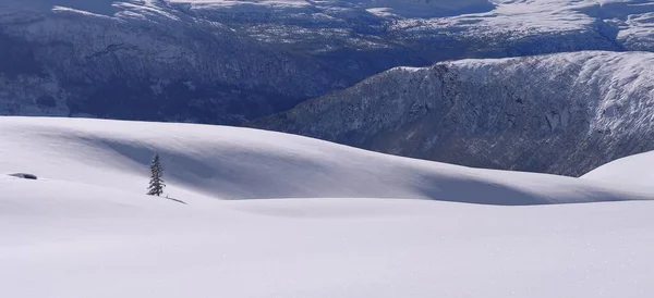 Ski Touring Top Touring Γαλάζιο Ουρανό Νορβηγία Υψηλής Ποιότητας Φωτογραφία — Φωτογραφία Αρχείου