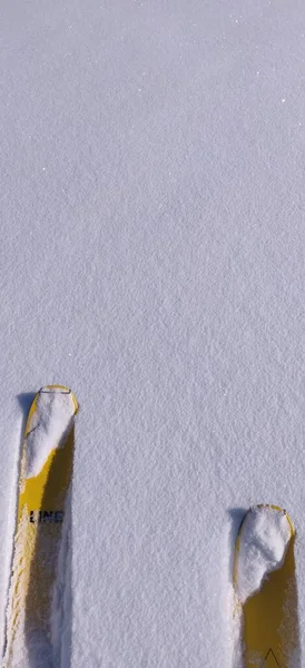 科皮空间背景Ski黄色雪白 高质量的照片 — 图库照片