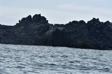 Rocky Coast Reserva Nacional Pinguino de Humboldt Şili. Yüksek kalite fotoğraf