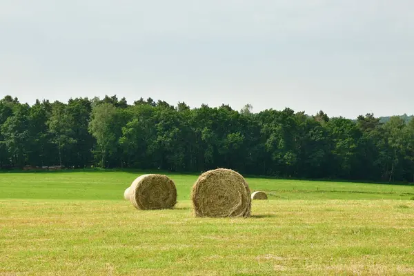 Agriculture Hay farming countryside Sachsen germany. High quality photo
