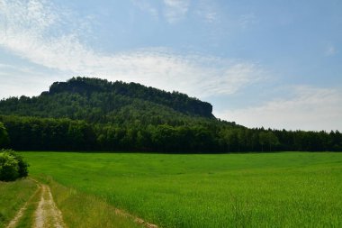 Çimen çayırı, orman, dağ, Sakson, Swizerland. Yüksek kalite fotoğraf