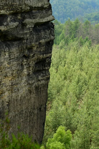 Saksische Swizerland Bergen Zandsteen Natuur Rotsen Duitse Oriëntatiepunt Hoge Kwaliteit — Stockfoto