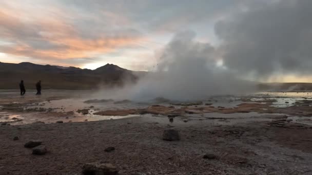 Tatio Geyser Atacama Deserto Cile Sud America Geotermica Vapore Filmati — Video Stock