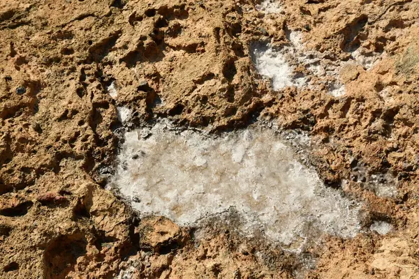 Kalymnos Greece 'de kaya üzerine tuzlu tava. Yüksek kalite fotoğraf