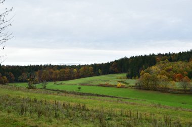 Sonbahar Ormanı rengarenk Alman Odenwald Şelalesi. Yüksek kalite fotoğraf