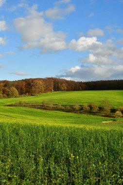 Sonbahar ormanı Odenwald Almanya ile yeşil çayır tarlaları. Yüksek kalite fotoğraf