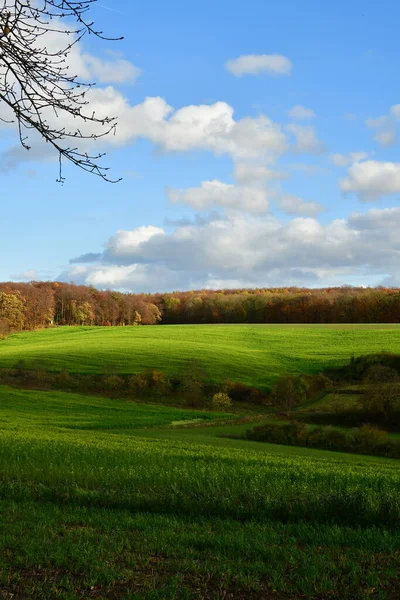 Sonbahar ormanı Odenwald Almanya ile yeşil çayır tarlaları. Yüksek kalite fotoğraf