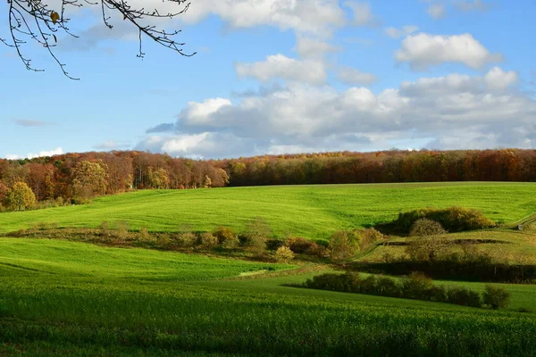 Sonbahar ormanı Odenwald Almanya ile yeşil çayır tarlaları. Yüksek kalite fotoğraf