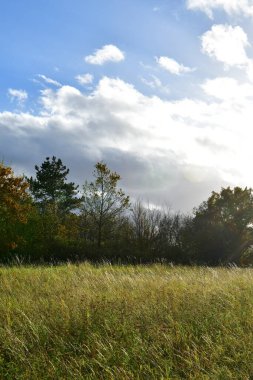 Yeşil çayırlar ve güneş ışınlı bulutlar Muehltal Traisa Almanya. Yüksek kalite fotoğraf