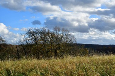 Yeşil çayırlar ve güneş ışınlı bulutlar Muehltal Traisa Almanya. Yüksek kalite fotoğraf